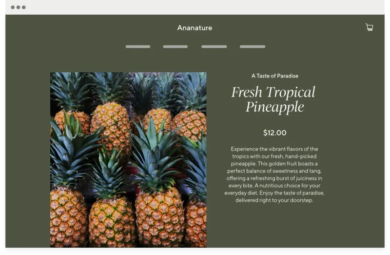 use case website preview 1