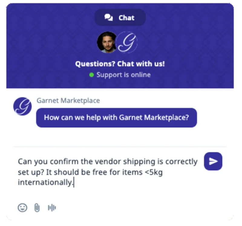 chat widget