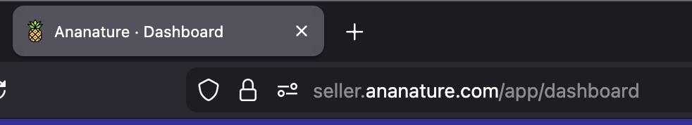 Favicon set on the browser tab