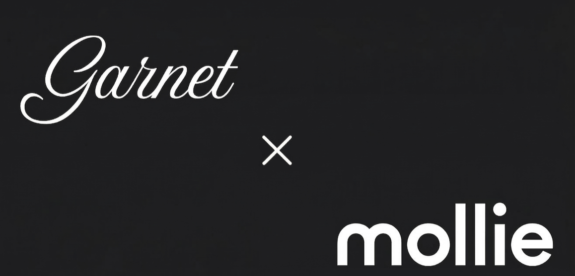 Mollie payout integration