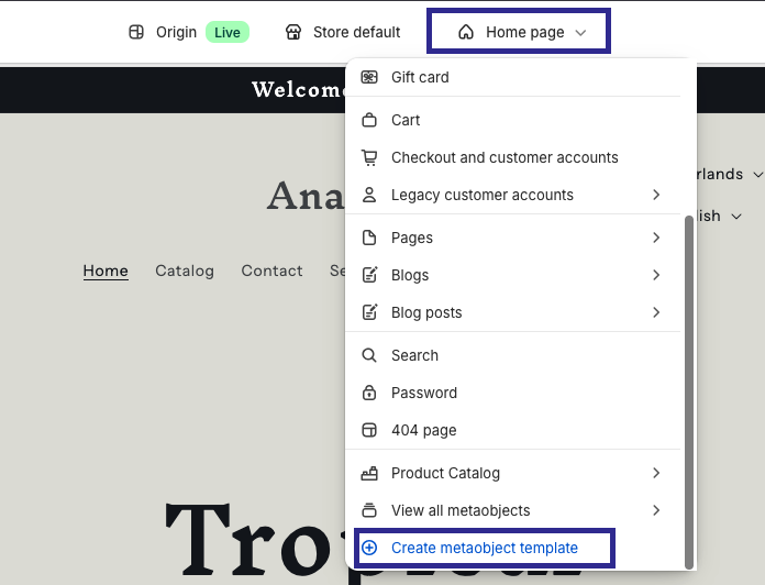 Create metaobject template in theme editor